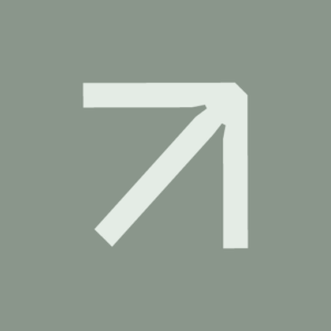 agenciabmd-logo_icone